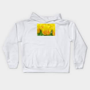 Tulipa  &#39;Ice Lolly&#39;  Tulip Kids Hoodie